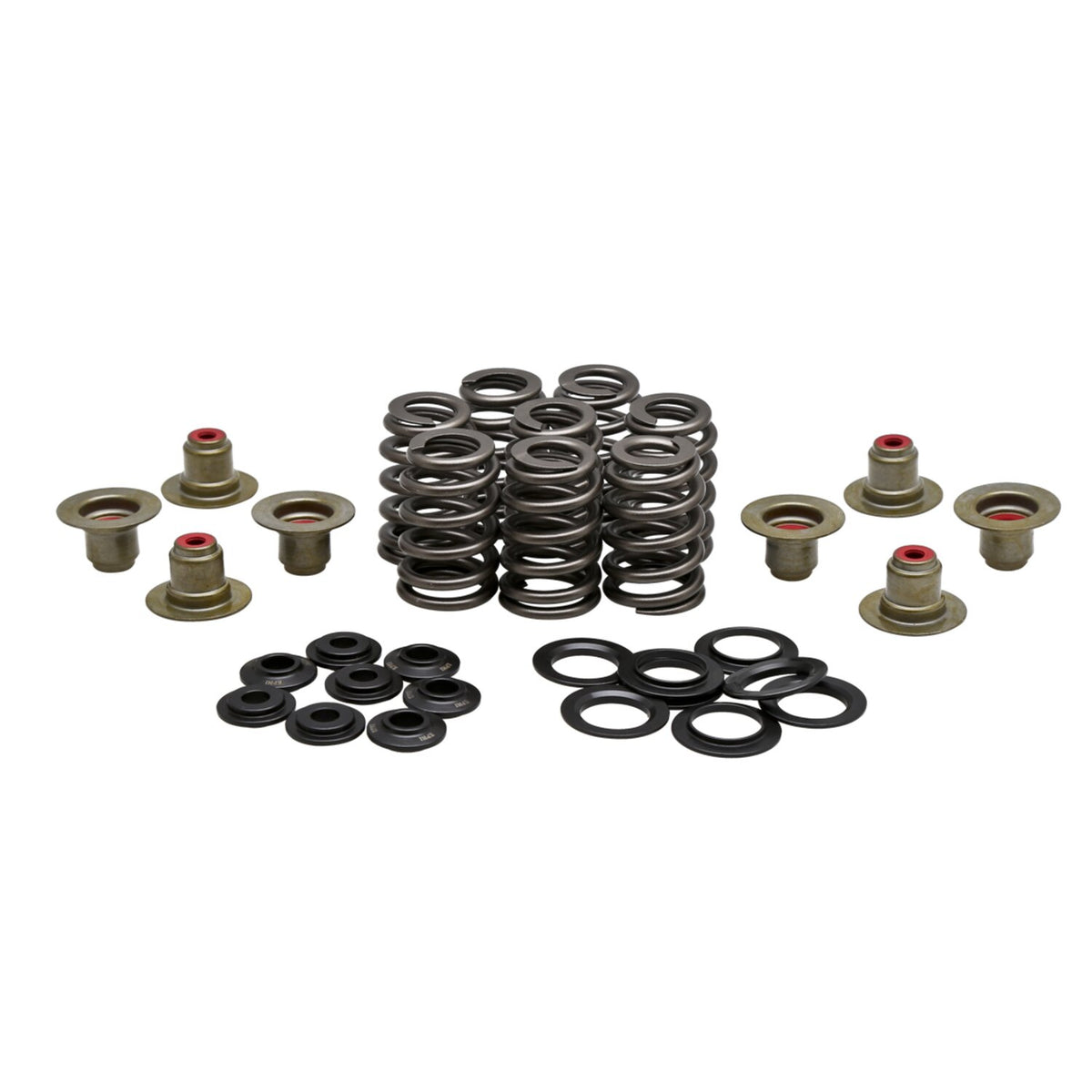 Kibblewhite KPMI .550" high lift valve spring kit - Steel