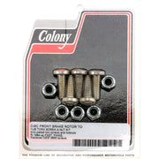 Colony front brake rotor bolt & nut kit - Flat torx Zinc