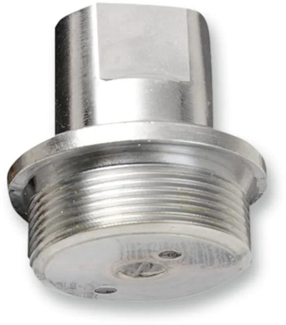 Colony Upper Fork Tube Caps/bolts - Chrome