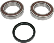 All Balls Chain Case Bearing & Seal Kit