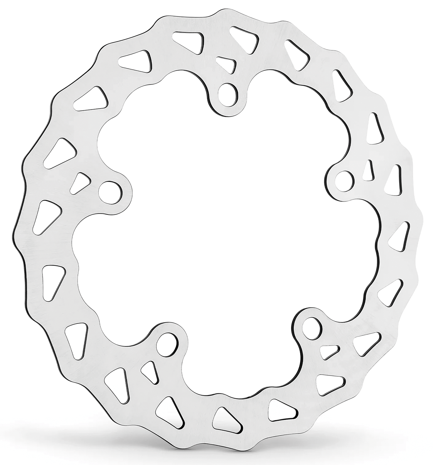 Arlen Ness Disc Brake Rotors