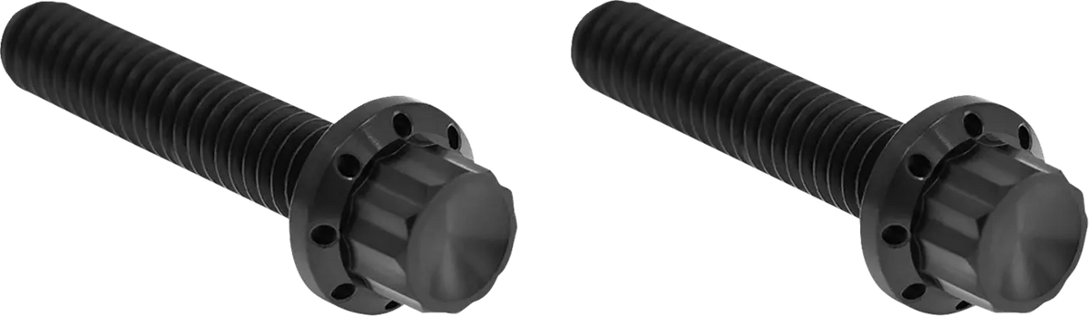 Arlen Ness Titanium 12-Point M8 Hardware Kit Black for Hydraulic