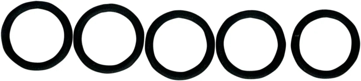 Fuel-Tool O-Ring Check Valve Black 5 Pack