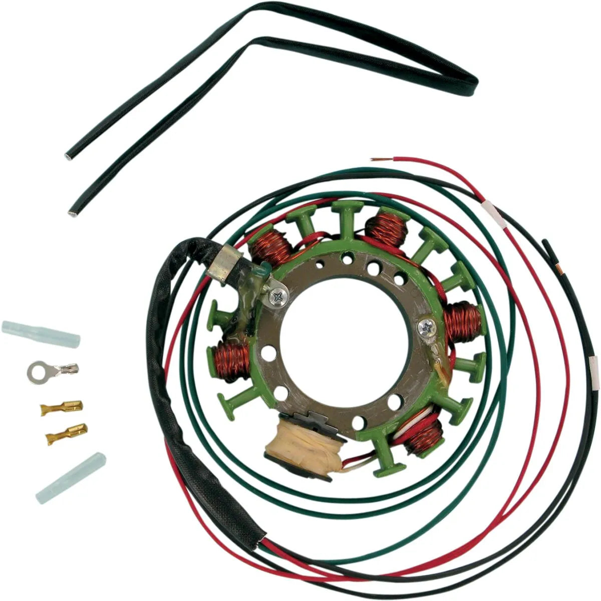 Rick's Motorsport Electric Stator