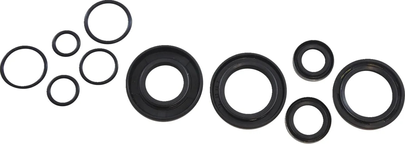 Vintco Oil Seal Kit for Engine Rebuilds