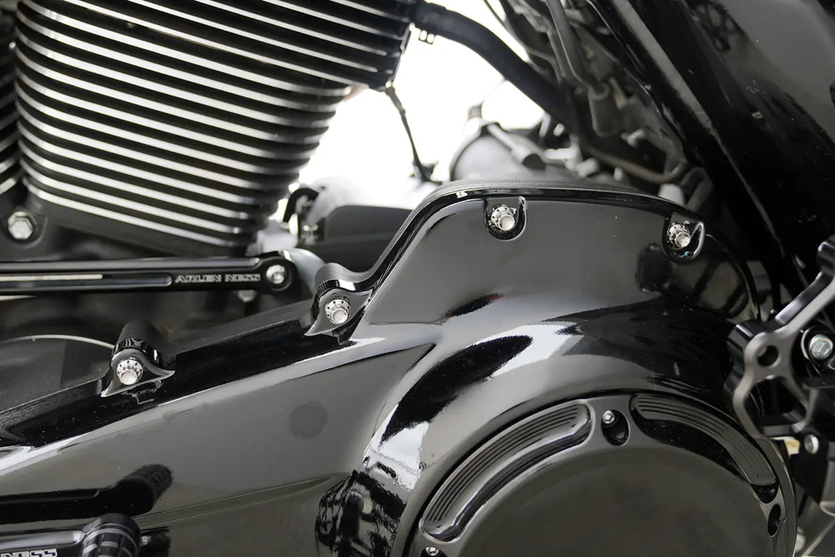 Arlen Ness Titanium 12-Point Primary Cover Bolt Kit Polished FLT