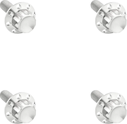 Arlen Ness 12-point Windshield Bolt Kit