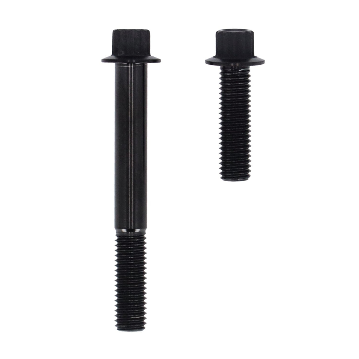 Screws4Bikes bolt kit brake caliper front (K2) - Black