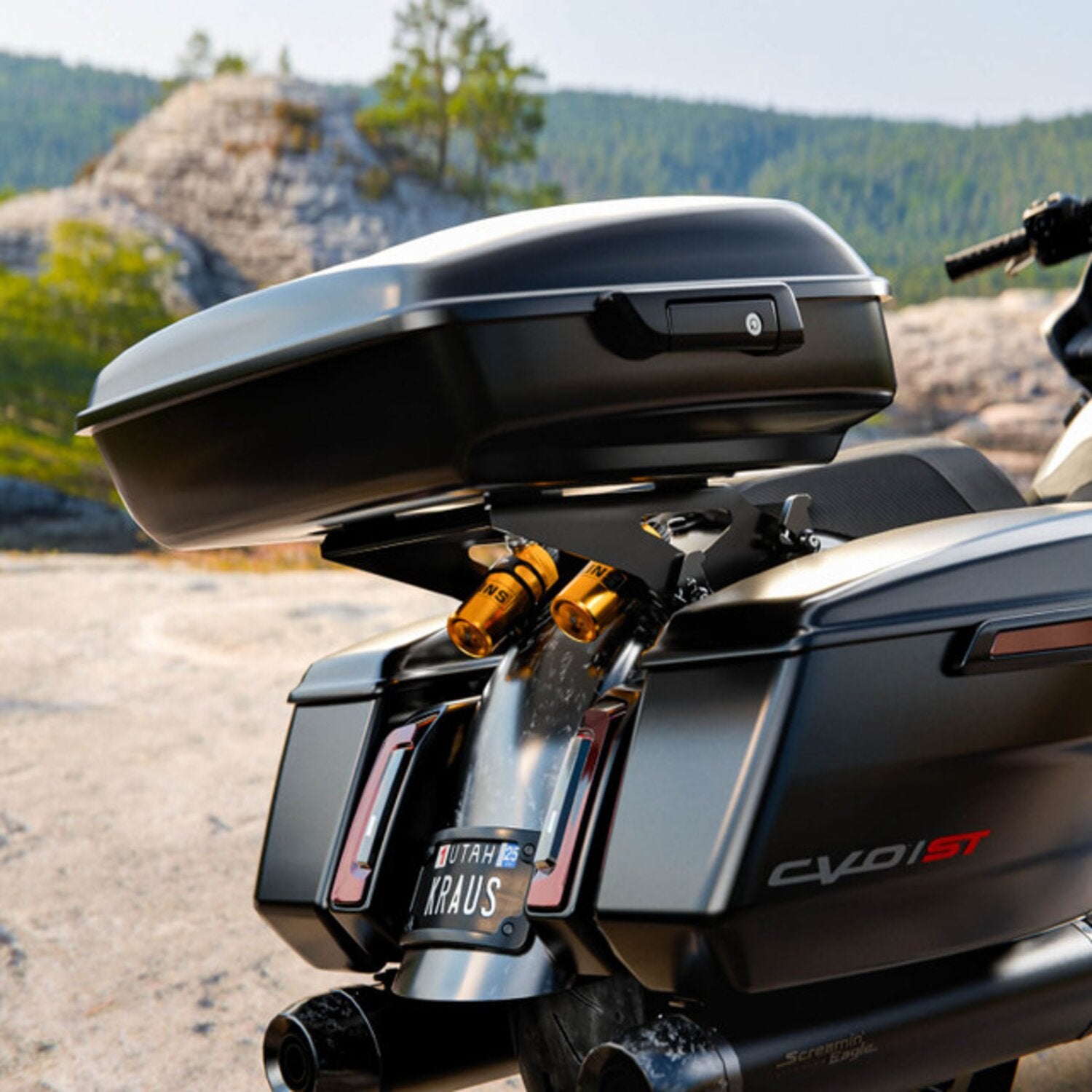 Kraus Pro-4 Docking Hardware for Öhlins - Black anodized
