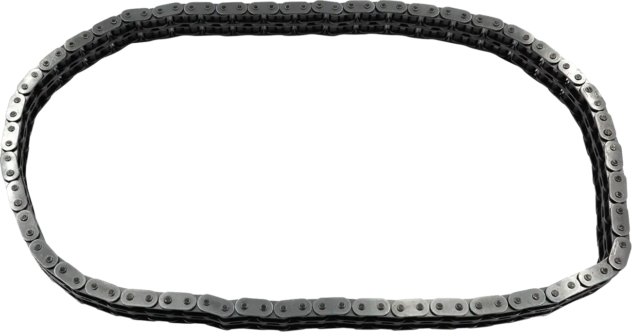 S&S Cycle Primary Chain for Performance Big Twins