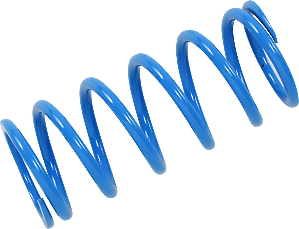 Epi Primary Clutch Spring