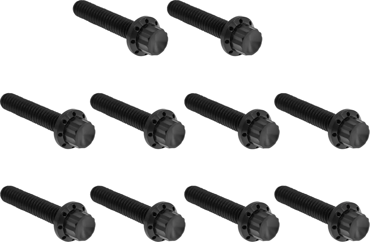 Arlen Ness Titanium 12-Point Bolt Kit Black for Twin Cam 00-17