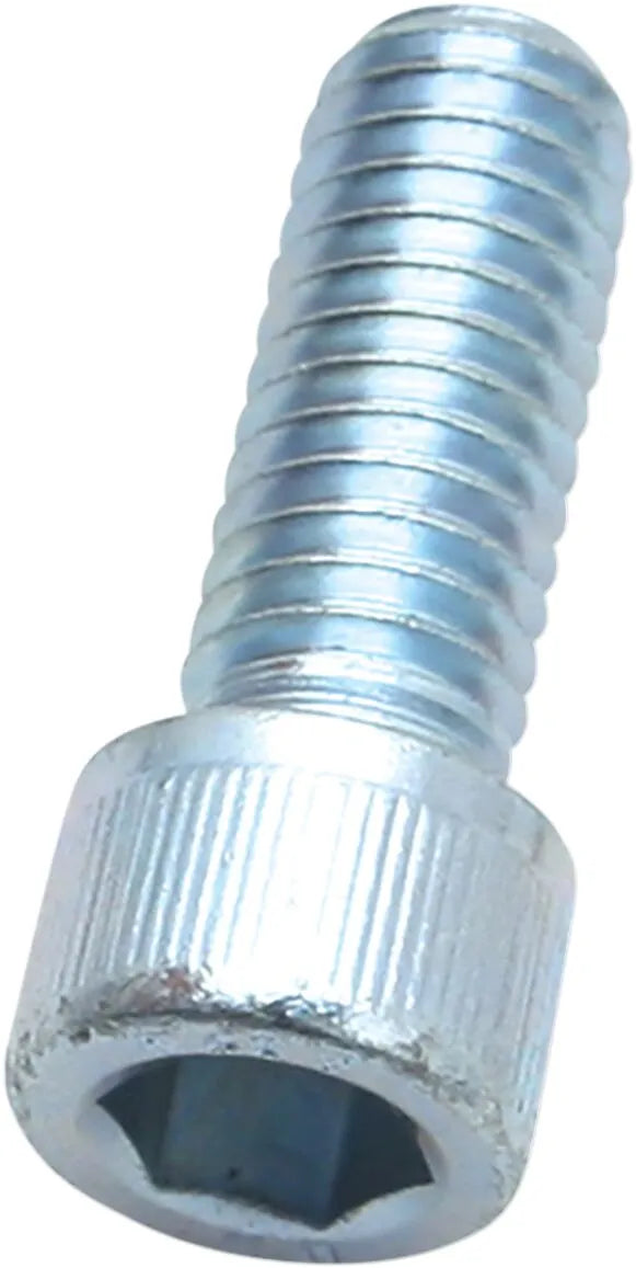 S&S Cycle Silver Socket Head Cap Screw