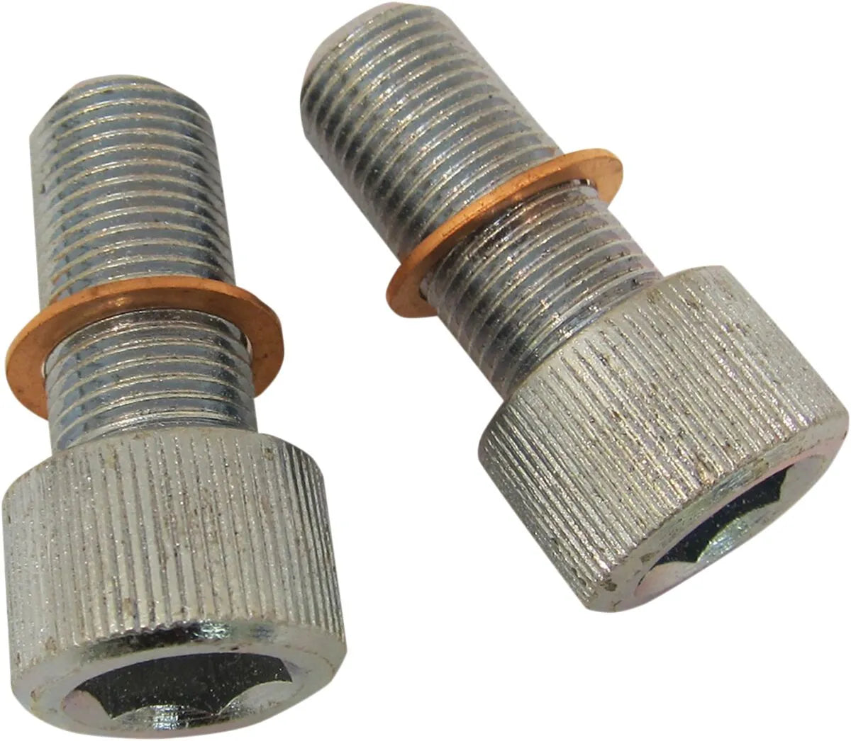 Drag Specialties Socket Head Screws with Washers 14 mm for Fork