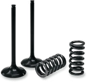 Prox Valve And Spring Kit Steel