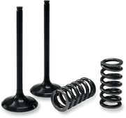 Prox Valve And Spring Kit - Steel Exhaust Valves