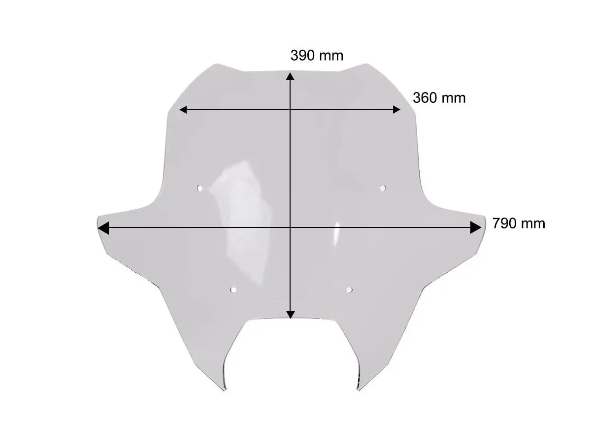WRS Sport Windscreen for BMW R1300RT