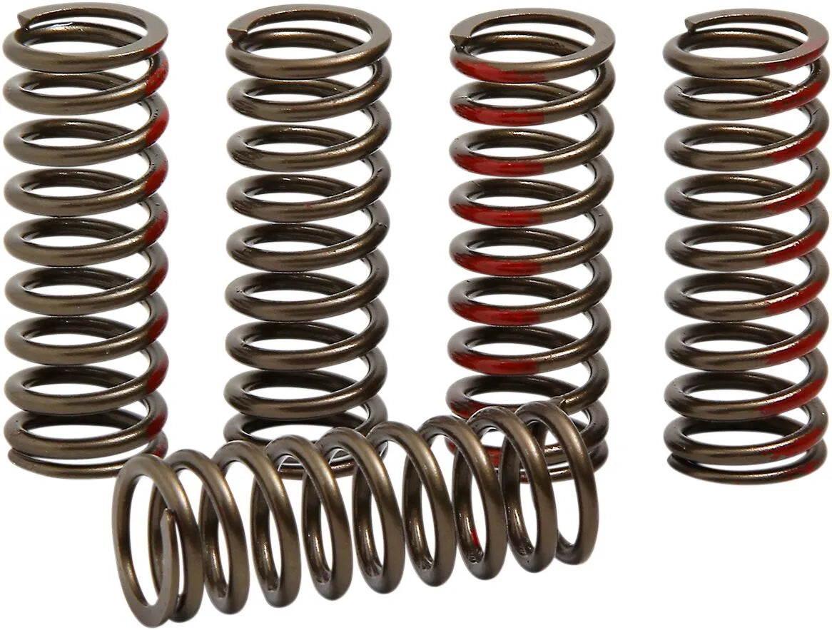 Pro Circuit Clutch Spring Set