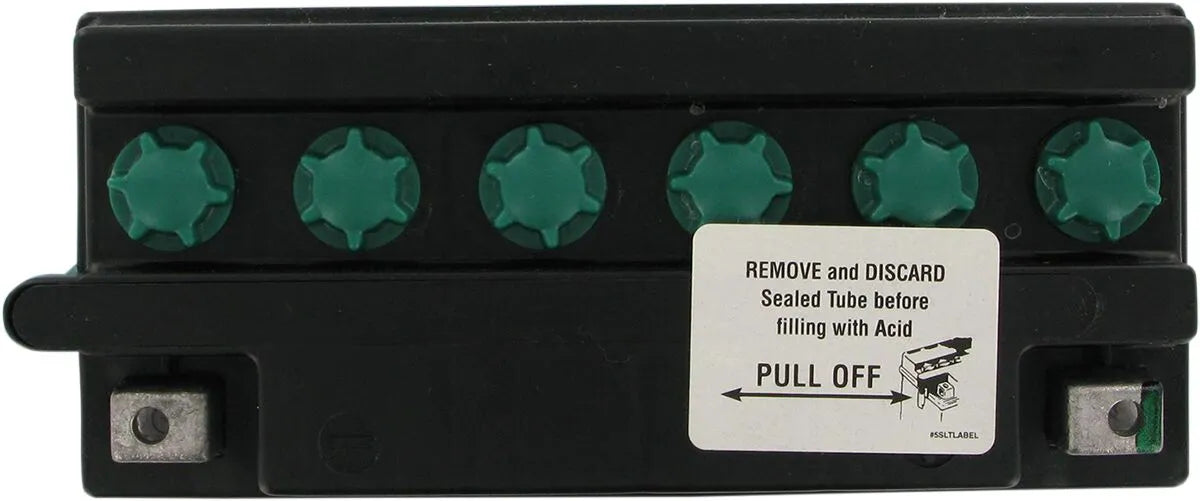 Yuasa Y50N18LA3 Conventional Battery for Honda Goldwing GL 1500