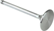 S&s Cycle Stainless Steel Valves for S&S Twin Cam Heads