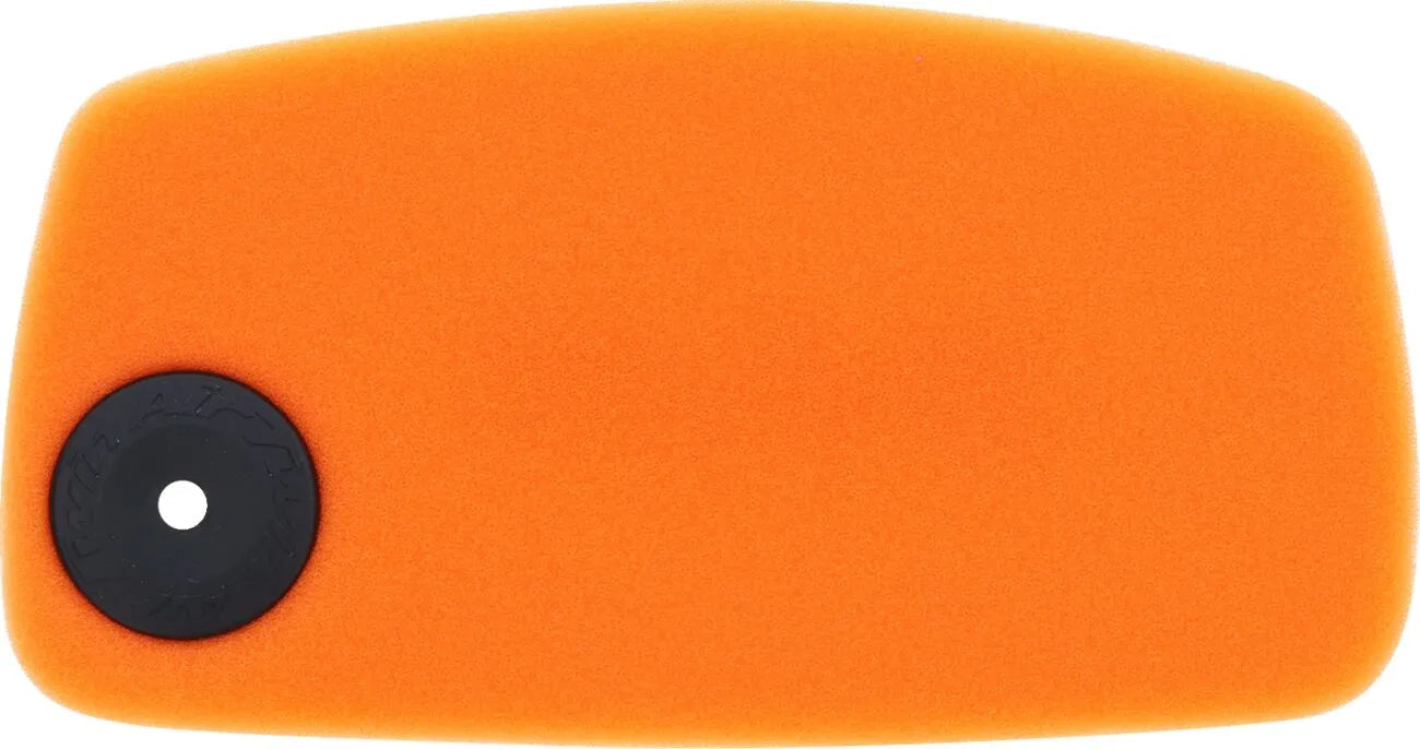 Twin Air Standard Air Filter