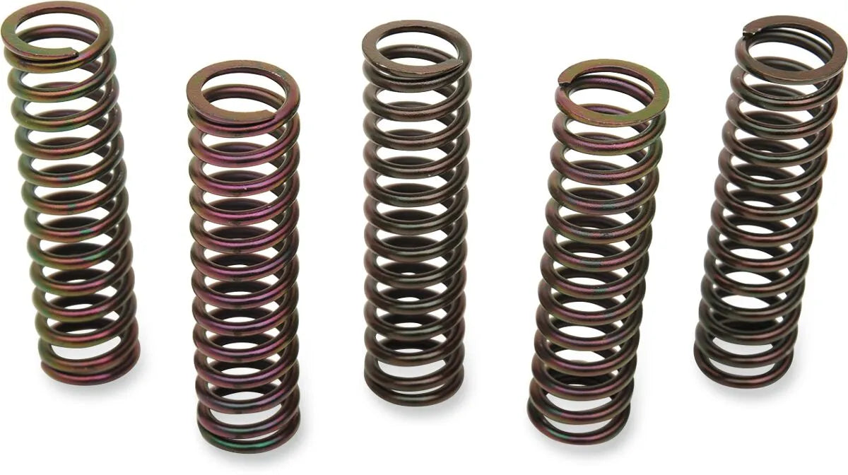 Barnett Clutch Spring Kit