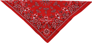 Zan Headgear Cotton Paisley Bandana 22" x 22"