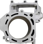 Cylinder Works 800cc Engine Cylinder
