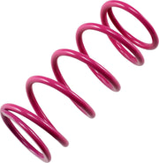 Epi Primary Clutch Spring