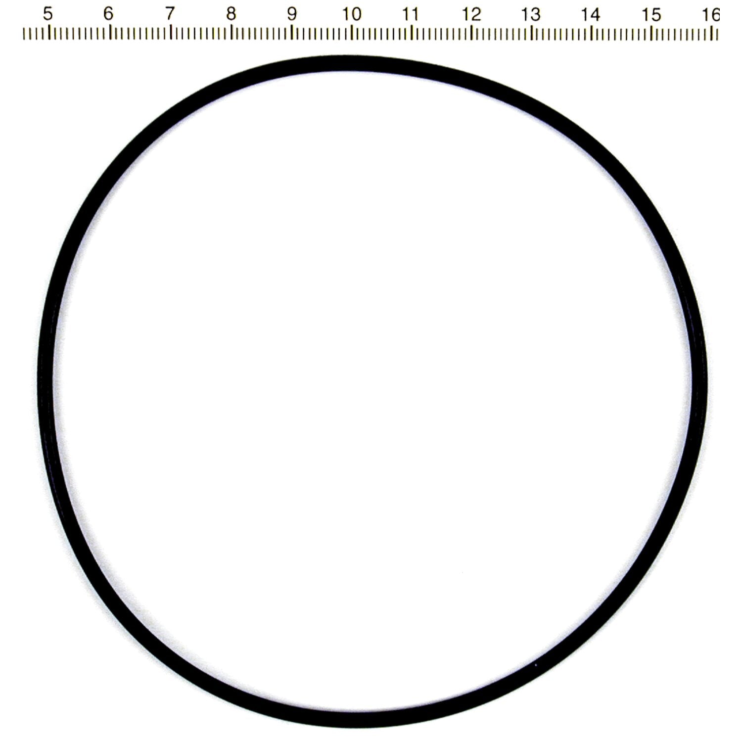 S&S cylinder base o-ring - FR/RR