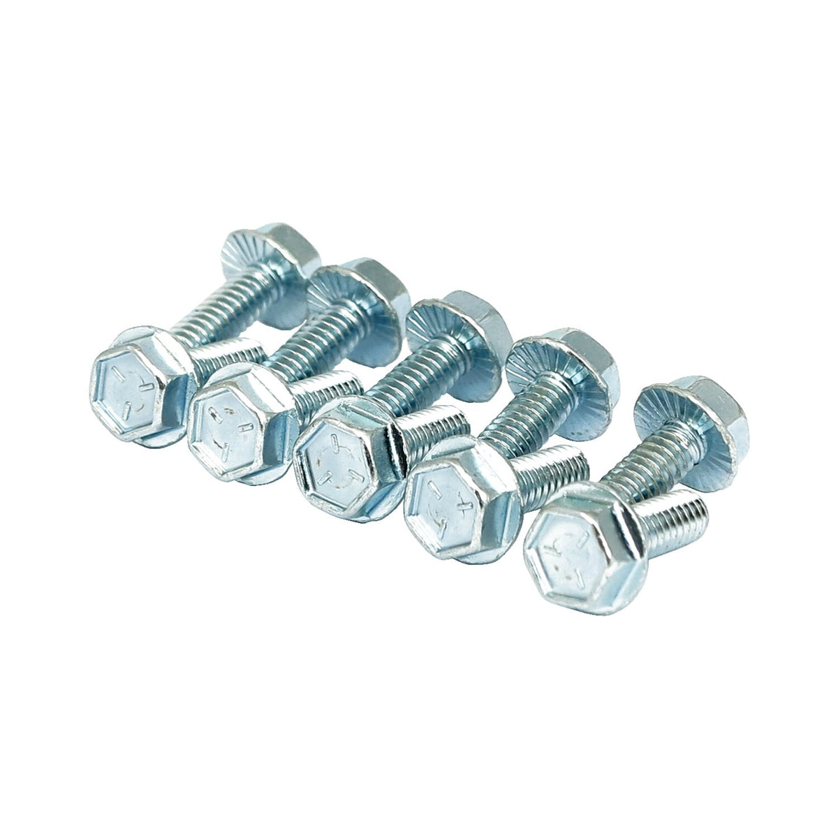 MCS Flanged screw