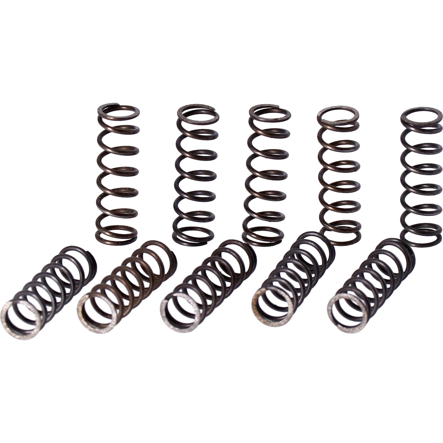 MCS Spring crankcase oil screen