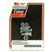 Colony 45" Flathead handlebar lever screw & pivot kit