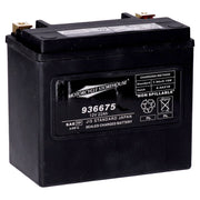 MCS standard series - AGM sealed battery - 12v 22ah - 325cca