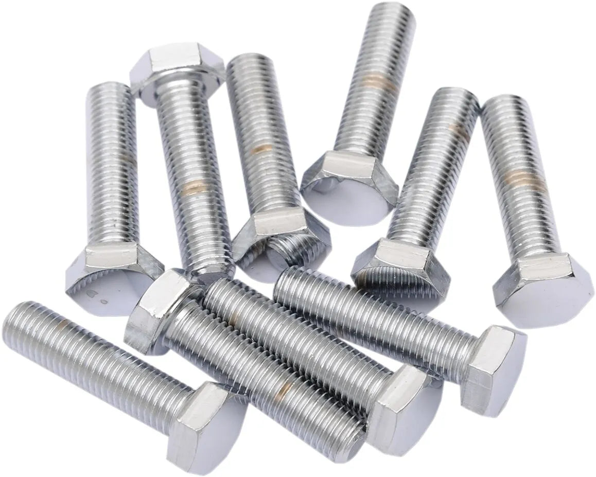 Drag Specialties 5/16-24x1 1/4 Chrome Hex Head Bolts