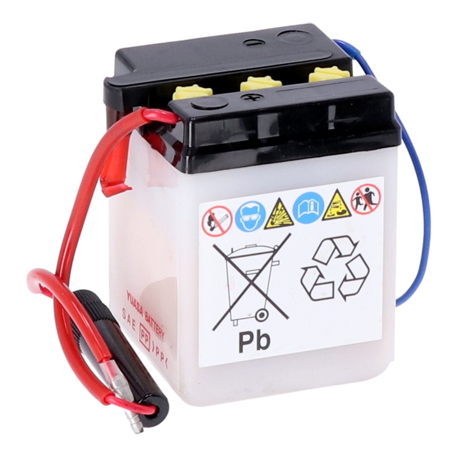Yuasa Conventional 6V battery