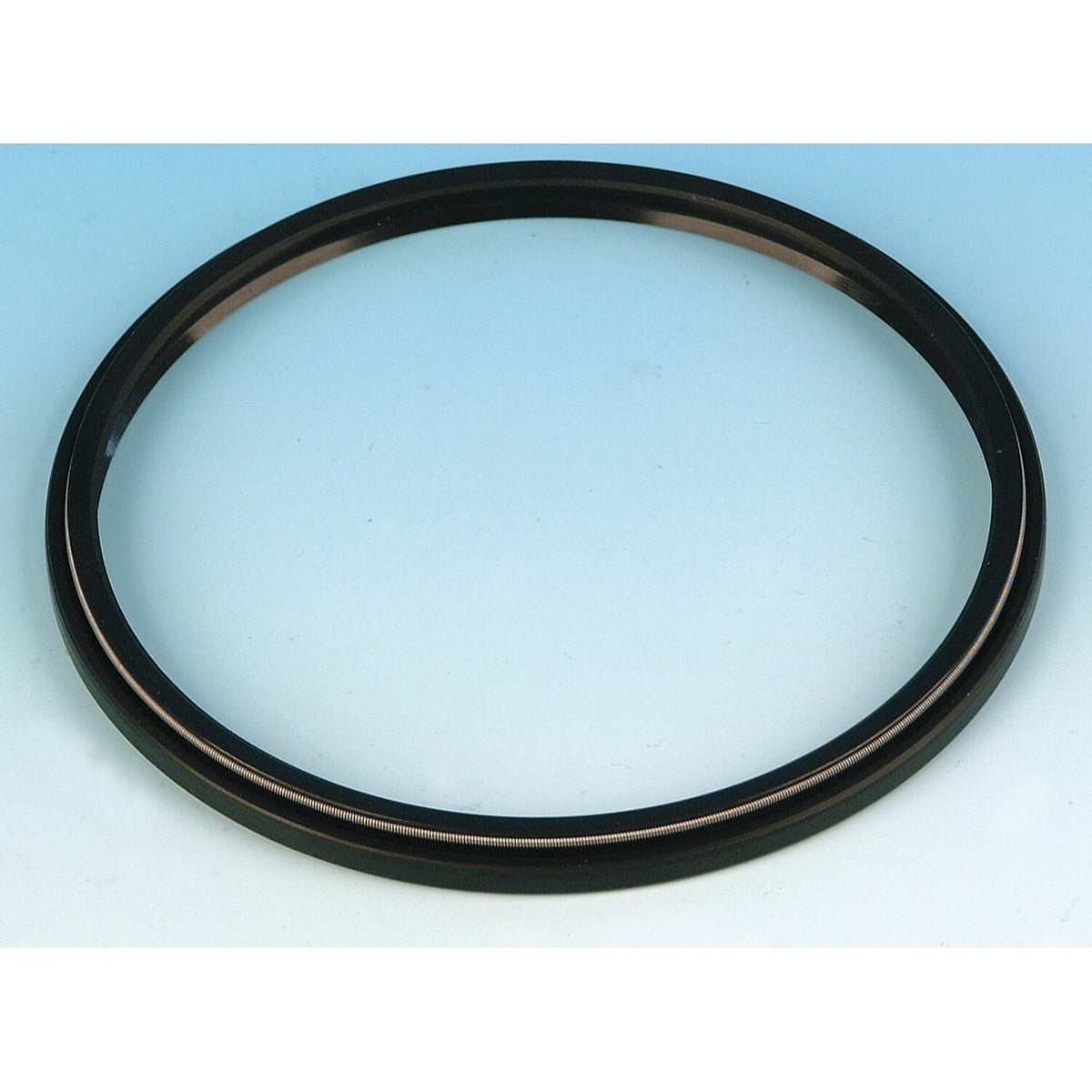 James Gaskets James rear chain housing/wheel sprocket seal