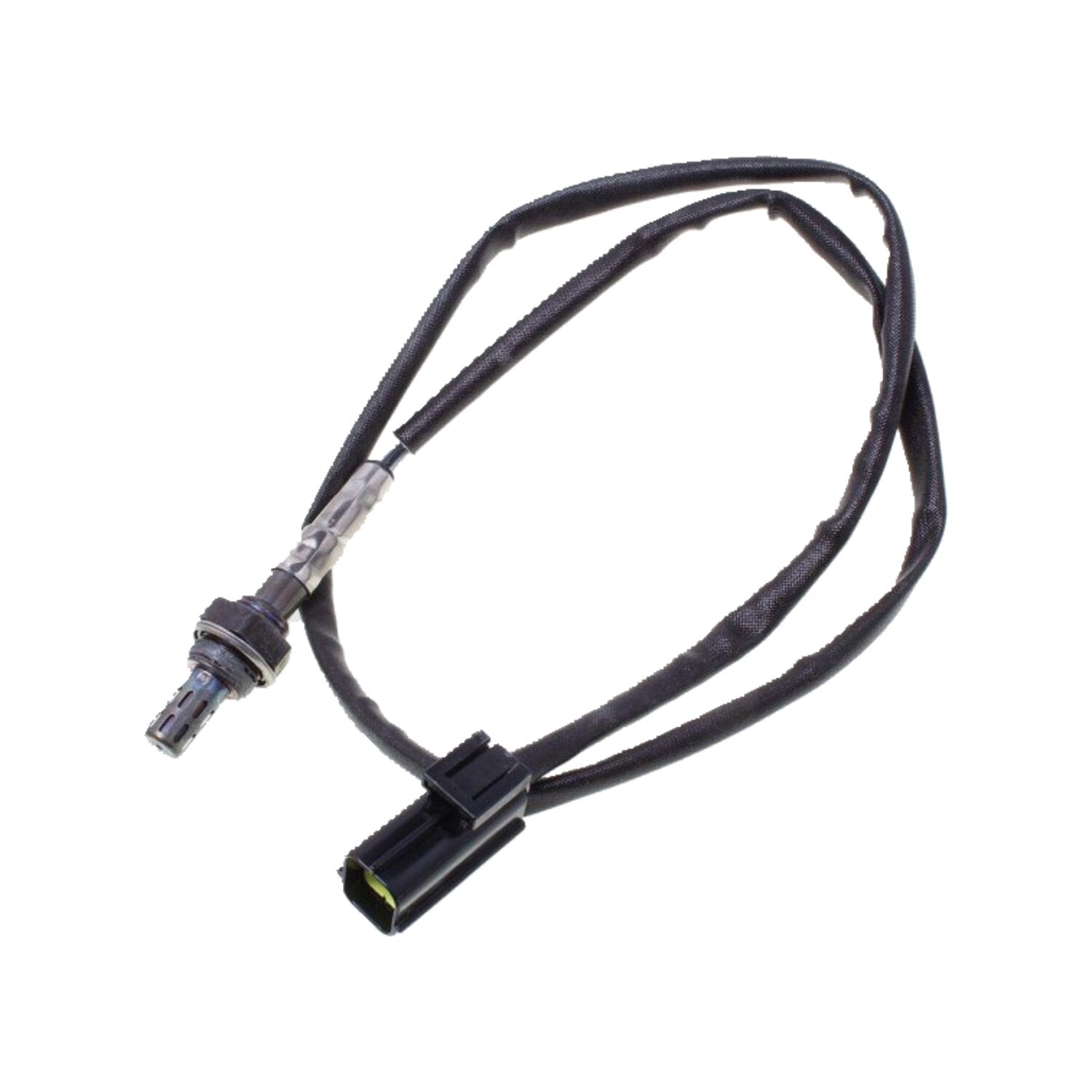 CVP O2 sensor Triumph daytona Speed Triple Sprint Tiger