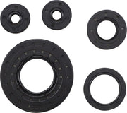 Vertex Engine Oil Seal Kit