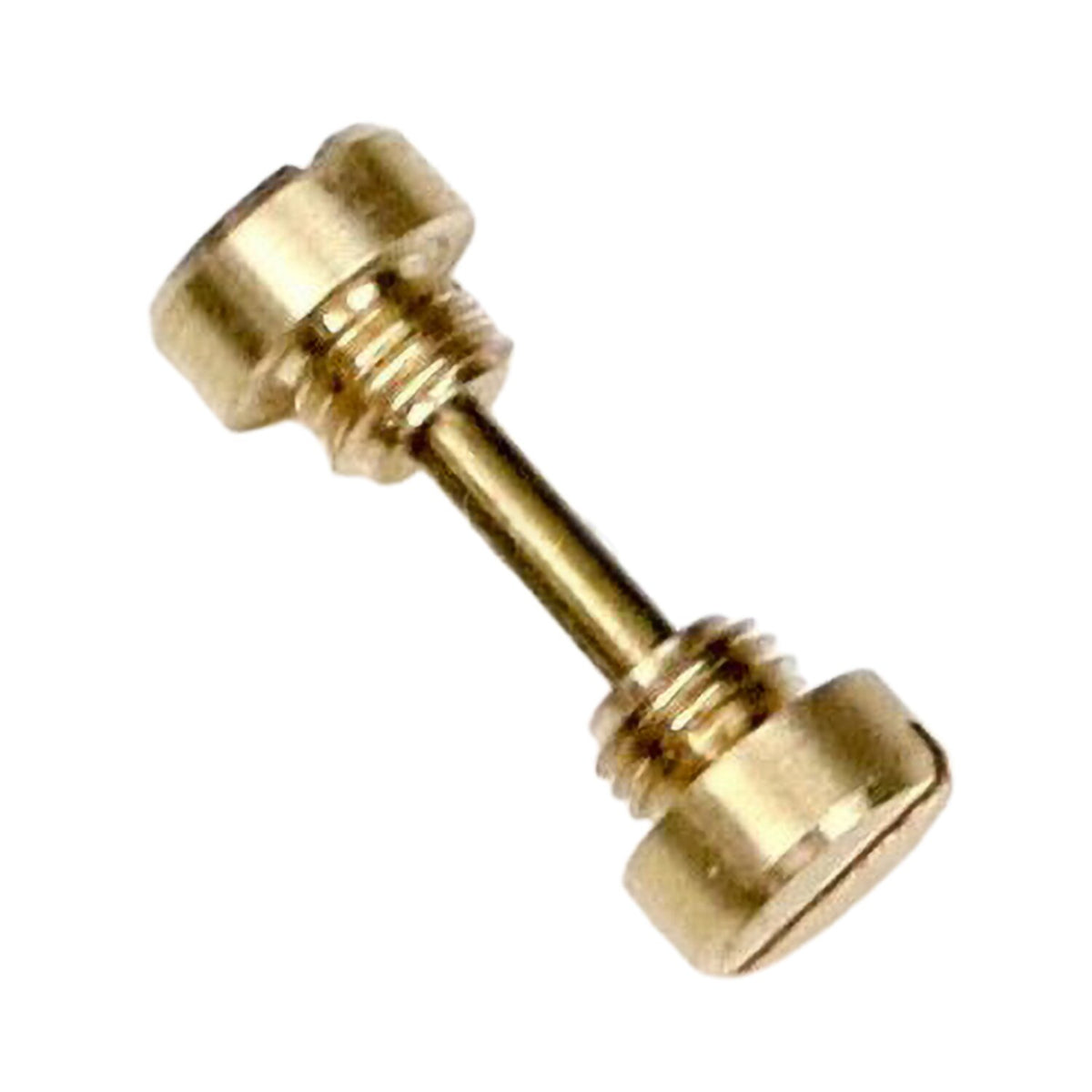 Samwel Screw/pin and screw kit