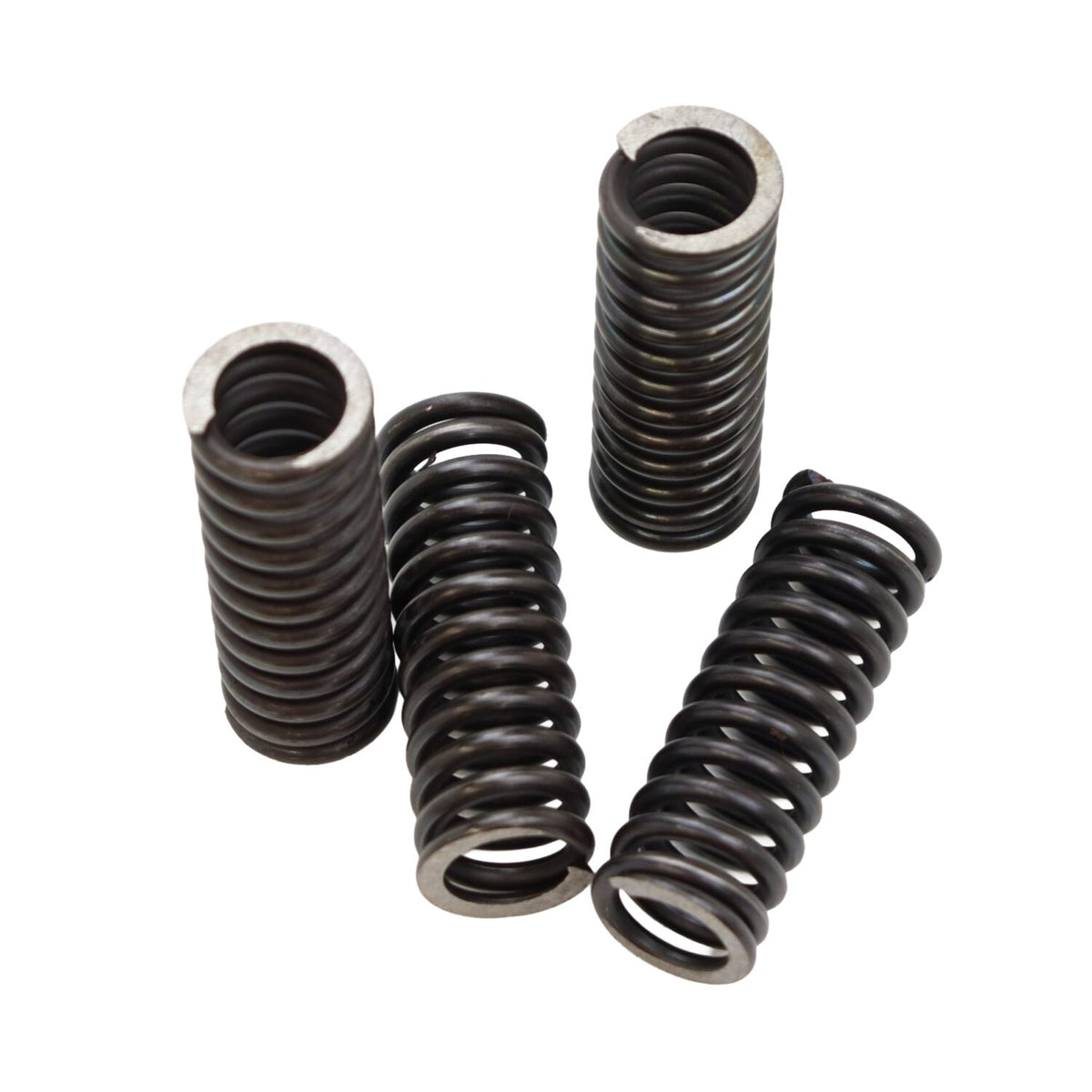 Samwel Valve spring set - 4 stk