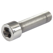 Gardner-Westcott Allen bolt polished ss 1/2-13 x 2