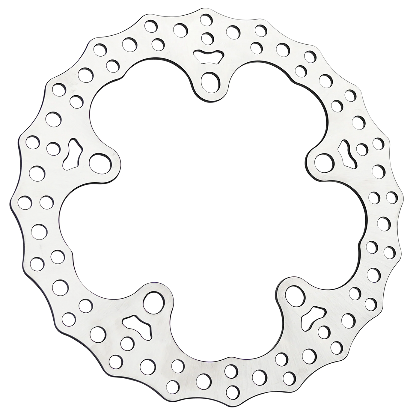 Arlen Ness Disc Brake Rotors