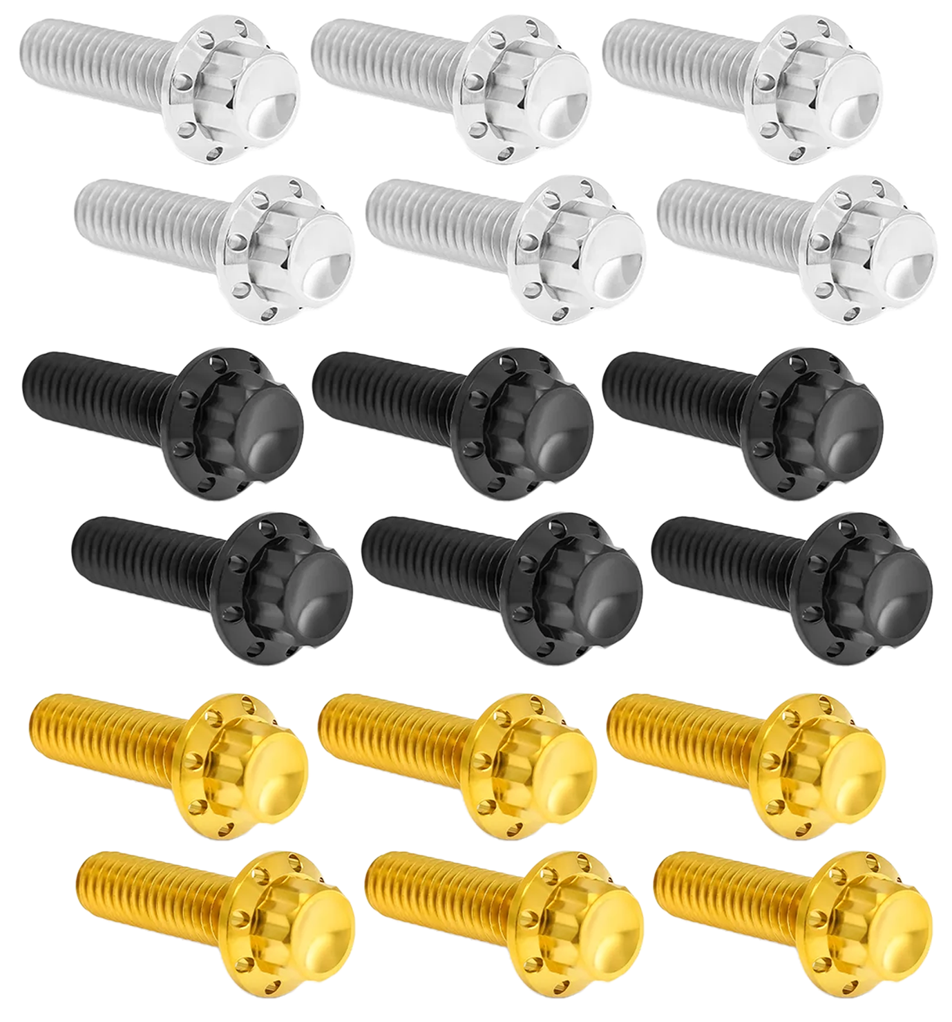 Arlen Ness Transmission Top Cover Titanium 12-POINT Bolt Kits – Hardware