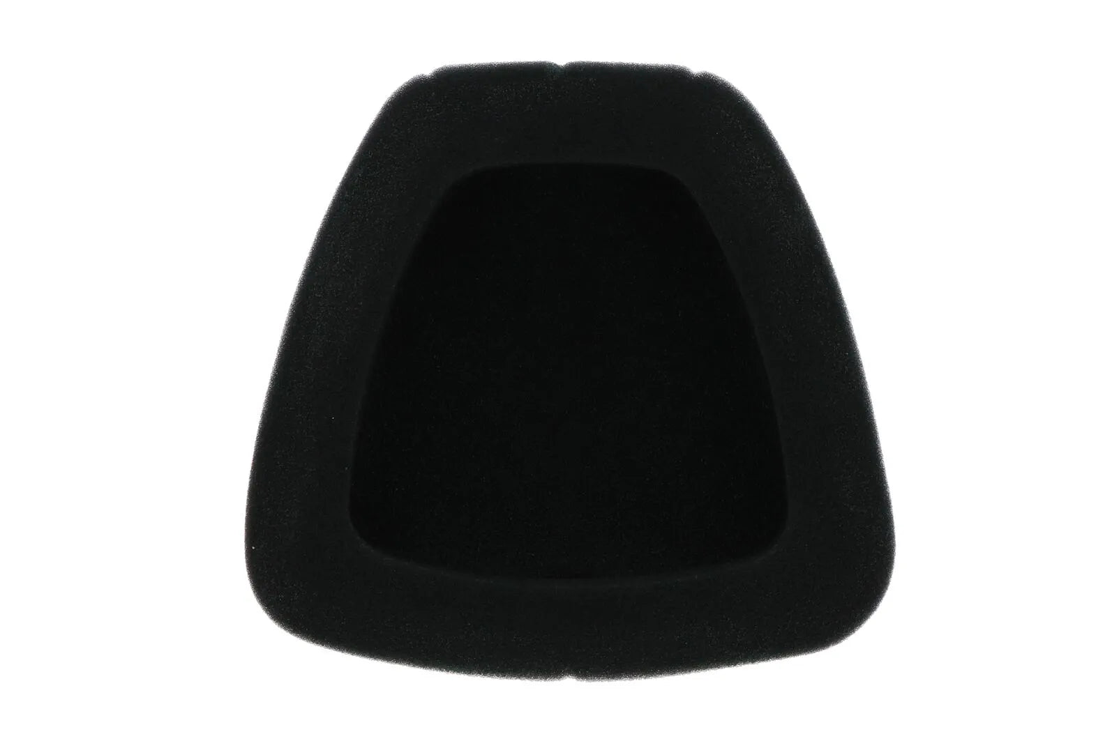 Twin Air Air Filter