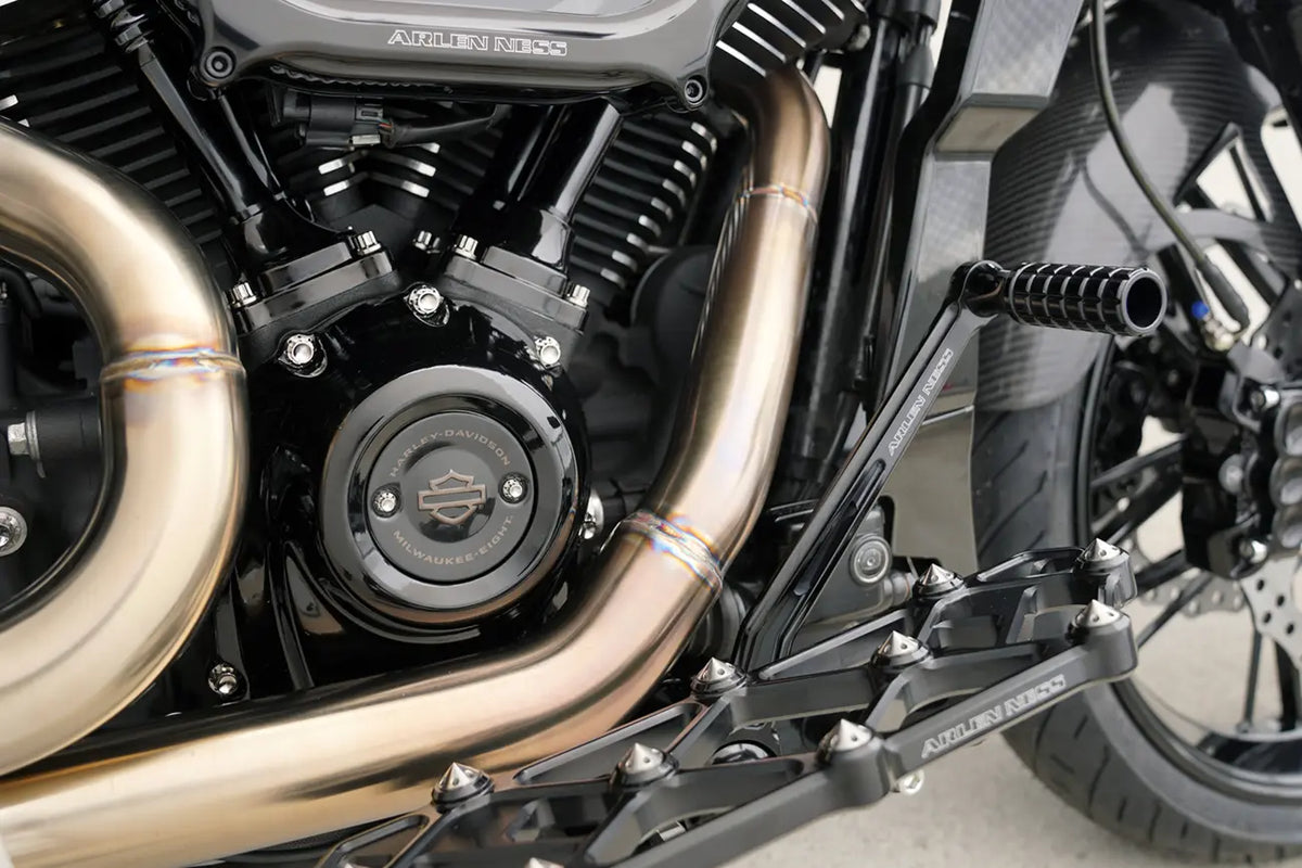 Arlen Ness Titanium 12-Point Bolt Kit Polish for FLT 2017-2023