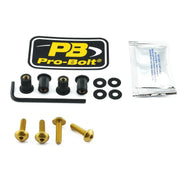 Pro Bolt Aluminium Screen Bolt Kit - Gold
