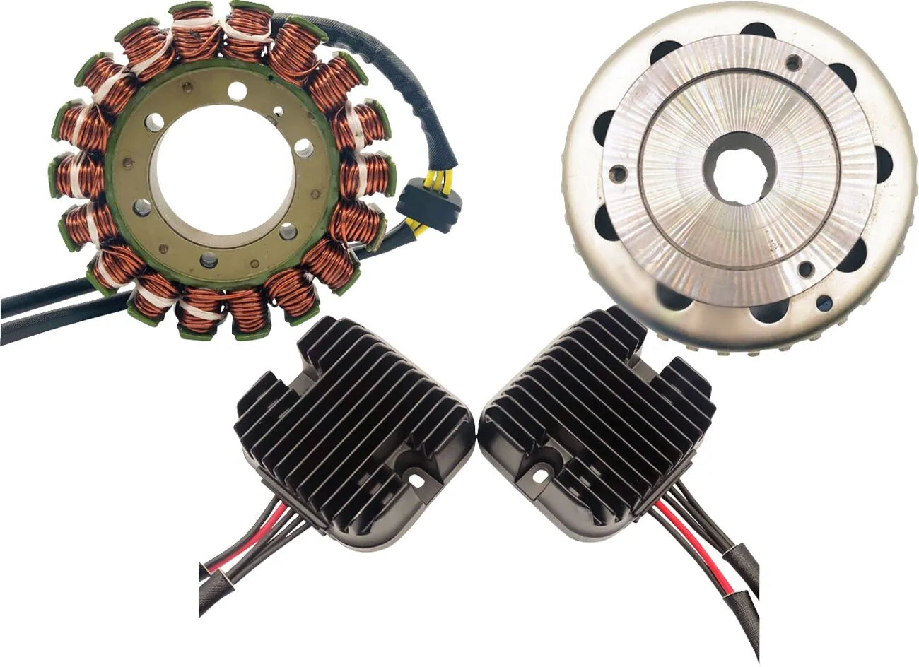 Rick's Motorsport Electric 1000w Charging Kit
