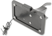 Accutronix Side-mount License Plate With Led Light