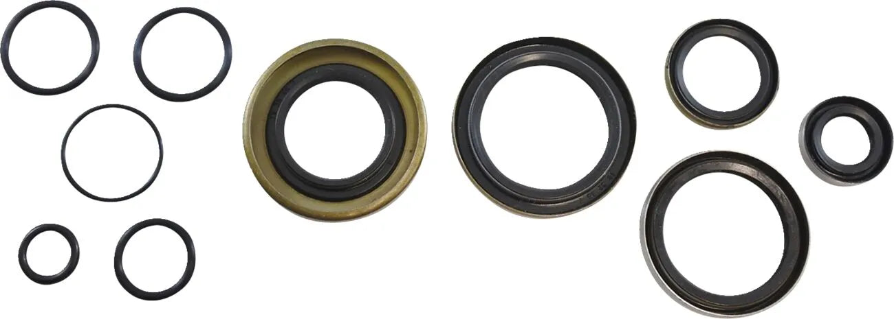 Vintco Engine Oil Seal Kit for Motorcycle Lower End